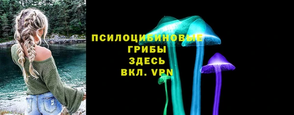 a pvp Анива