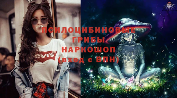 a pvp Анива