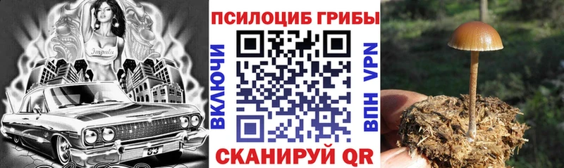 Галлюциногенные грибы мухоморы  Калтан 